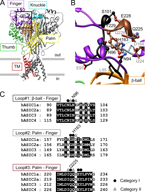 FIGURE 1.