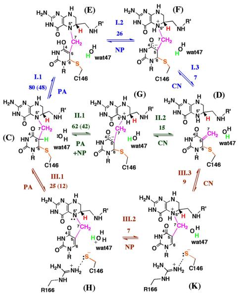 Scheme 3