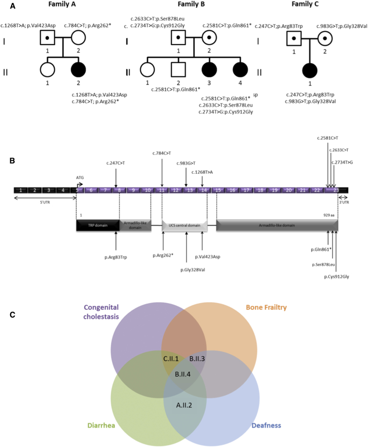 Figure 1