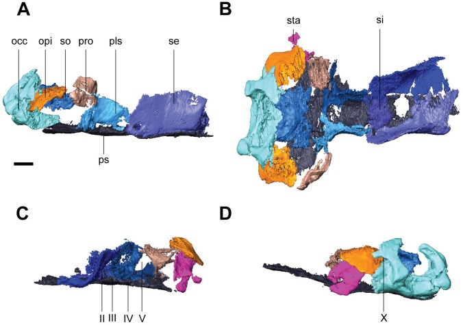 Fig 12