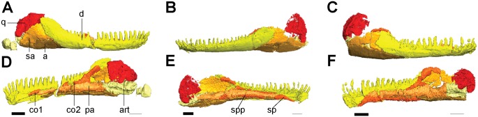 Fig 5