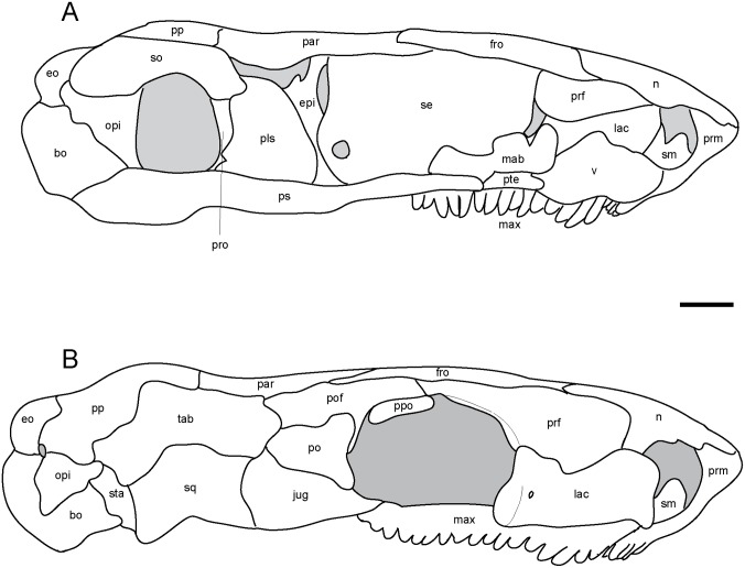 Fig 4