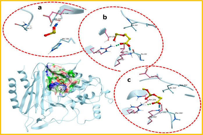 Figure 10