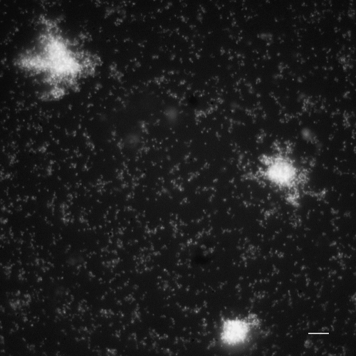 FIG. 6.