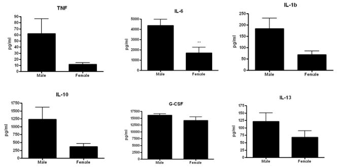 FIGURE 10