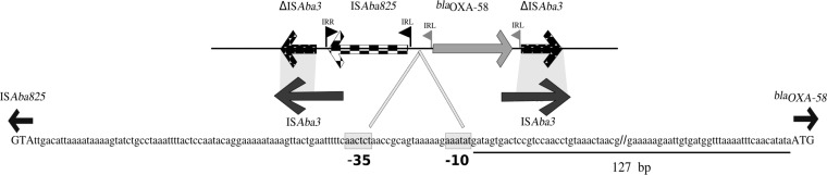 FIG 1