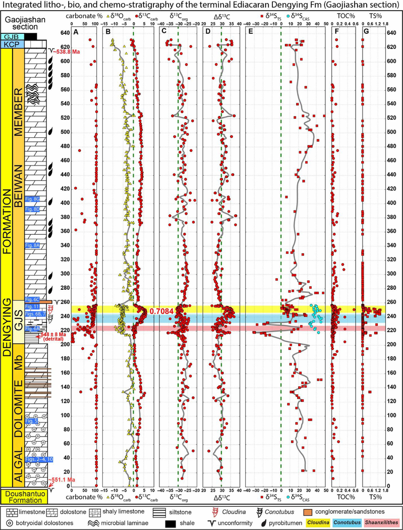 Figure 12.