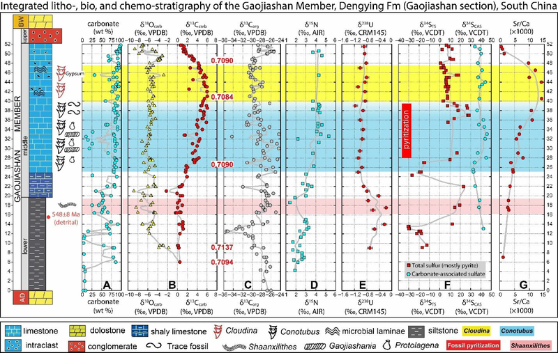 Figure 13.