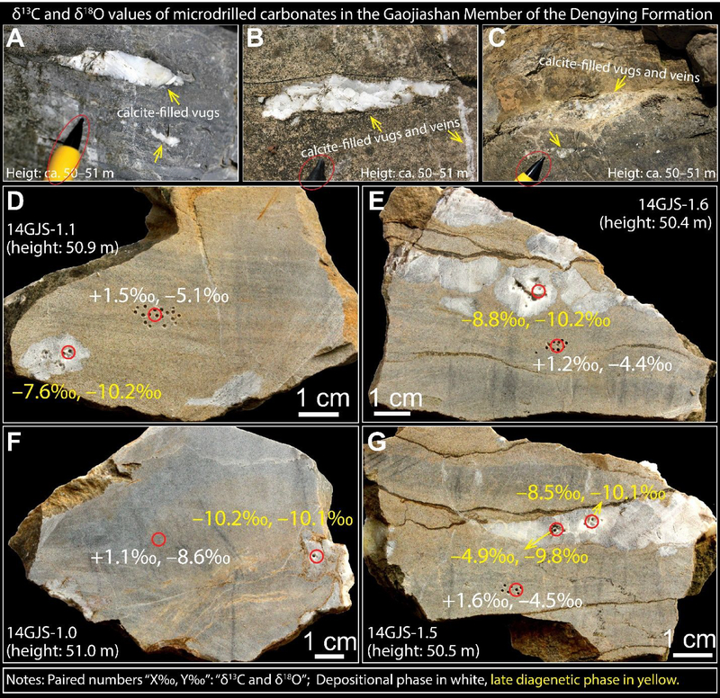 Figure 11.