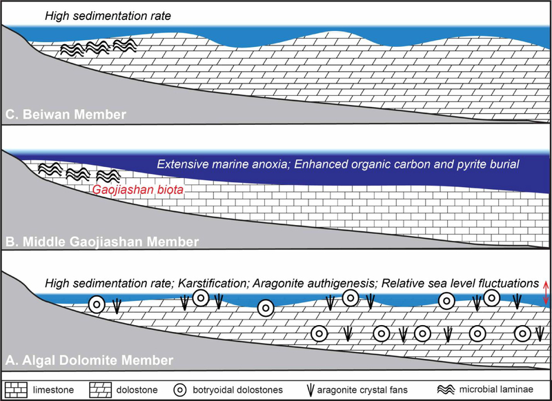 Figure 9.