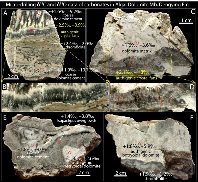 Figure 10.