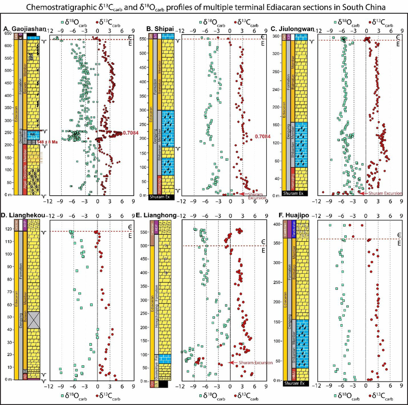 Figure 14.