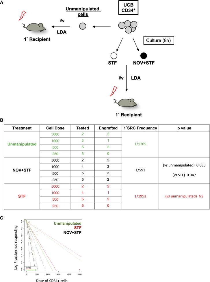 Figure 7