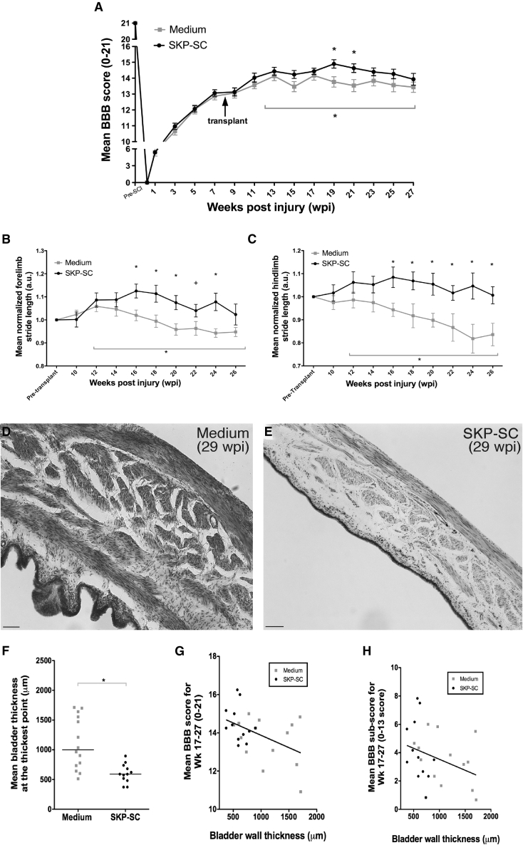 Figure 6