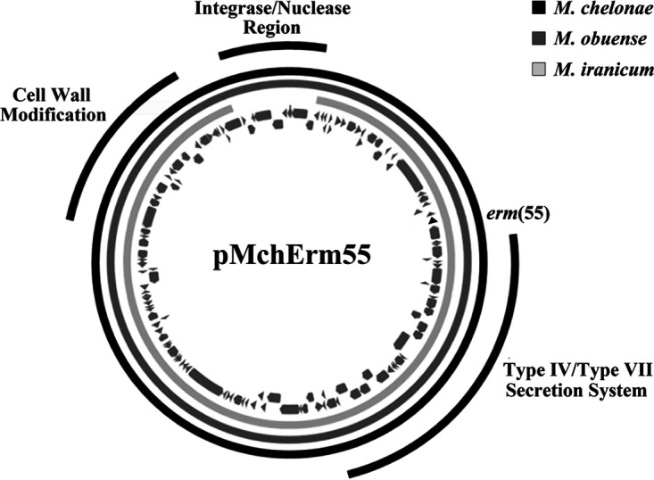 FIG 2