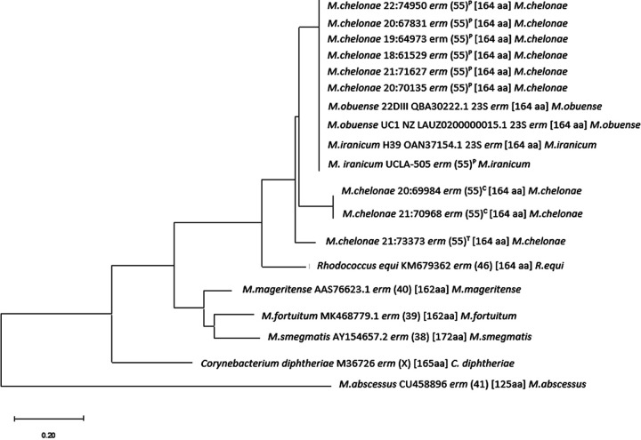 FIG 1