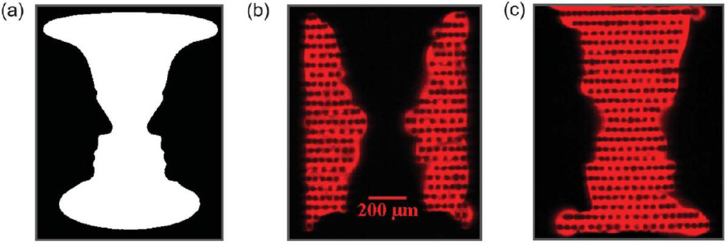 Fig. 10