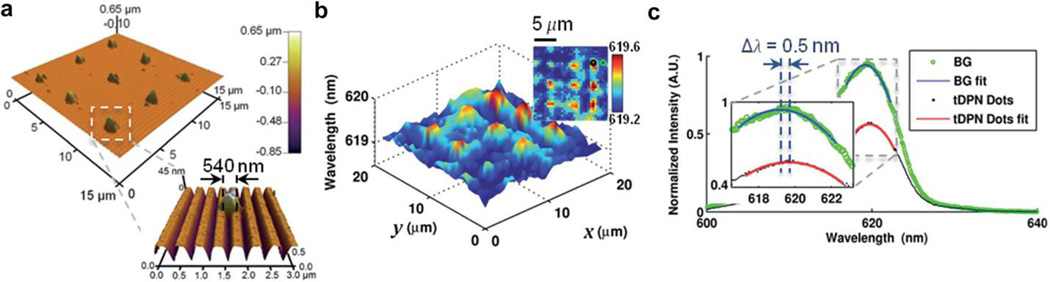 Fig. 6