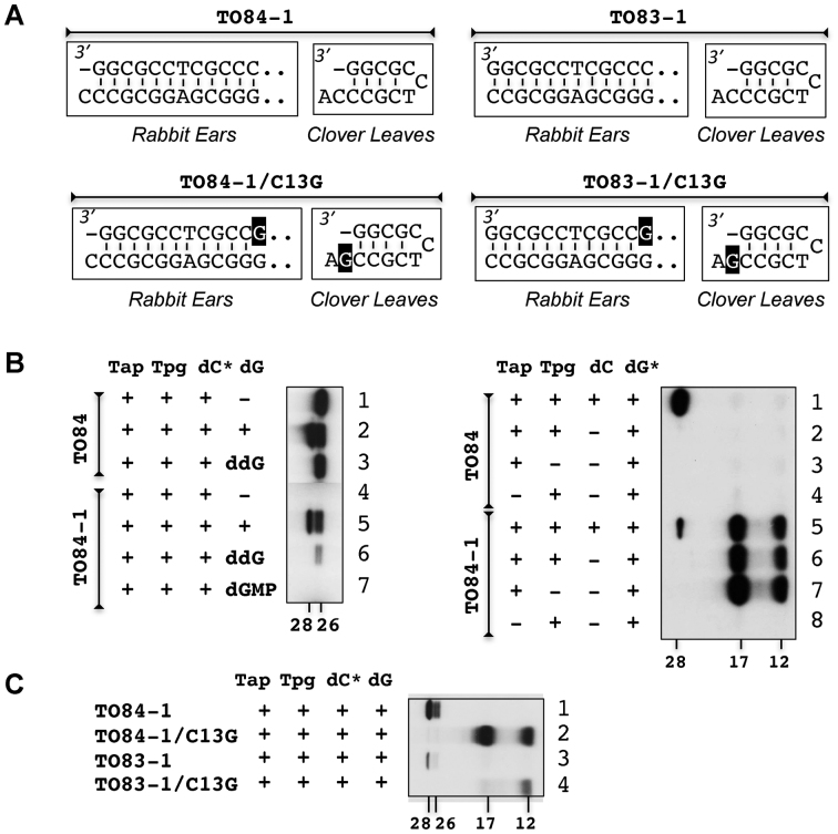 Figure 6.