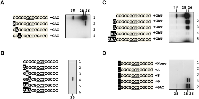 Figure 5.