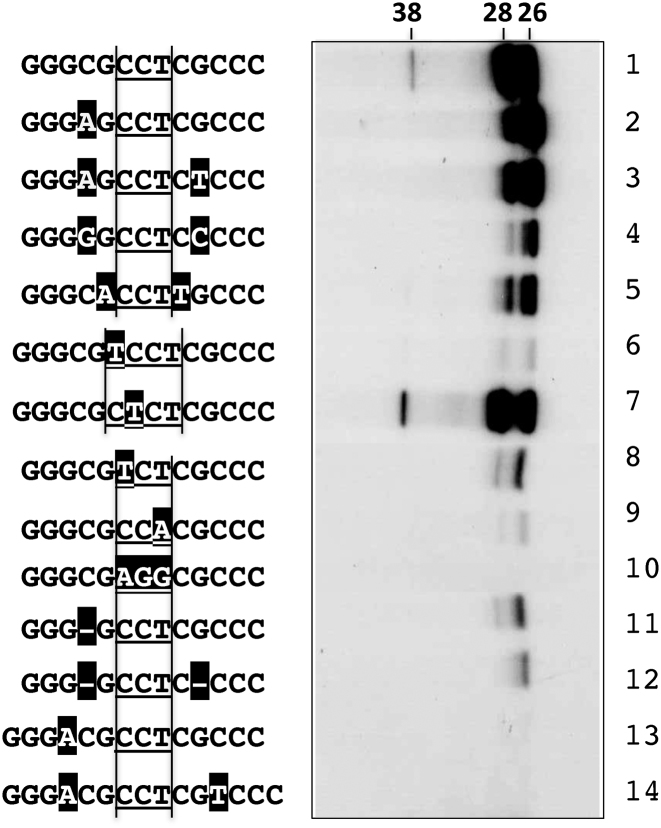 Figure 4.