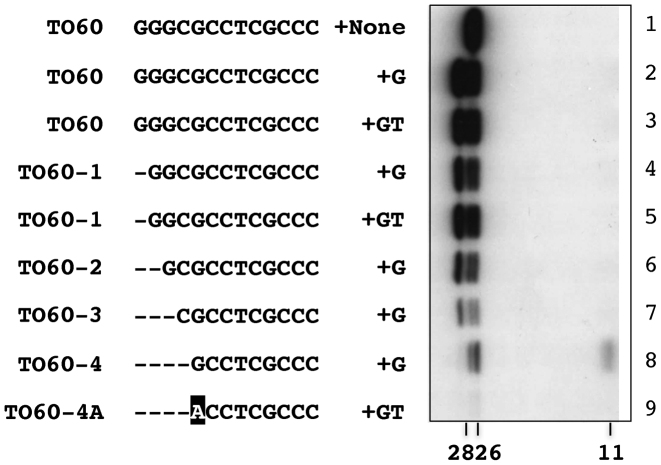 Figure 7.