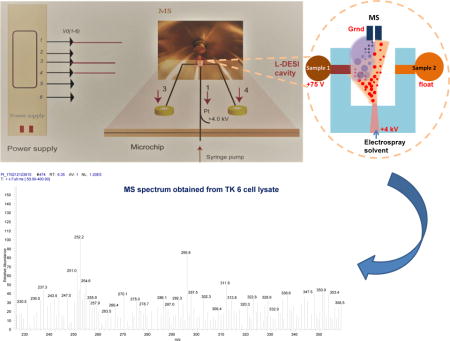 graphic file with name nihms920105u1.jpg