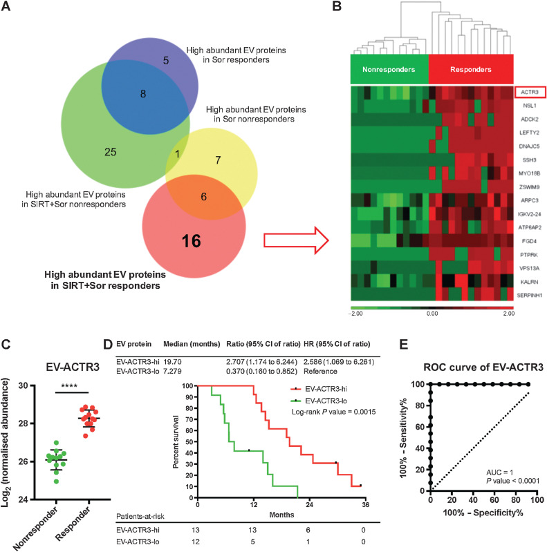 Figure 4. Identification of predictive EV proteins for SIRT+sorafenib treatment. A, Venn diagram of proteins detected from the EV samples. B, Heatmap of the differential abundance of the 16 EV proteins identified in the SIRT+sorafenib responders. Responders and nonresponders were clustered according to average linkage algorithm using Euclidean distance. Relative expression levels are represented in red and green in the heatmap. C, Abundance of EV-ACTR3 detected from responders and nonresponders from the SIRT+sorafenib group. Mann–Whitney test was used. D, Survival analysis of the patients based on the EV-ACTR3 abundance by log-rank (Mantel–Cox) test. E, ROC analysis of EV-ACTR3 for SIRT+sorafenib treatment.