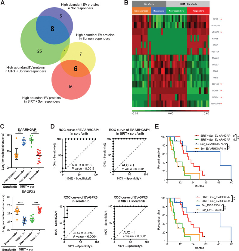 Figure 3. Differential abundance of 14 EV proteins correlating with treatment outcomes. A, Venn diagram of proteins detected from the EV samples. B, Heatmap of the differential abundance of the EV proteins identified in the four response groups. Relative expression levels are represented in red and green in the heatmap. C–E, Abundance, ROC analysis, and survival analysis of EV-ARHGAP1 and EV-GPX3; nonresponders (orange) and responders (blue) from the sorafenib group; nonresponders (green) and responders (red) from the SIRT+sorafenib group (**, P < 0.01; ***, P < 0.001).