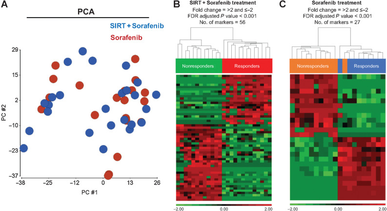 Figure 2. Differential protein abundance analysis. A, PCA of the proteomics of plasma EVs at baseline time point in SIRT+sorafenib-treated patients (blue) vs. that of plasma EVs in sorafenib-treated patients (red). B, Heatmap of the differential level of 56 EV proteins in SIRT+sorafenib-treated patients. C, Heatmap of the differential level of 27 EV proteins in sorafenib-treated patients. Responders and nonresponders were clustered according to average linkage algorithm using Euclidean distance. Relative expression level was represented in red and green in the heatmap.