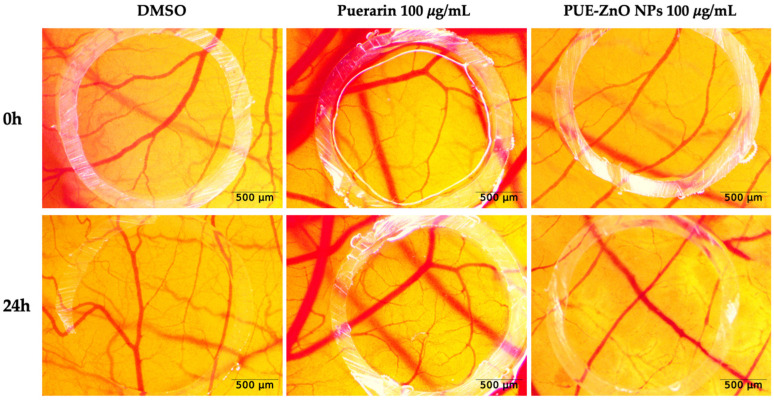 Figure 10