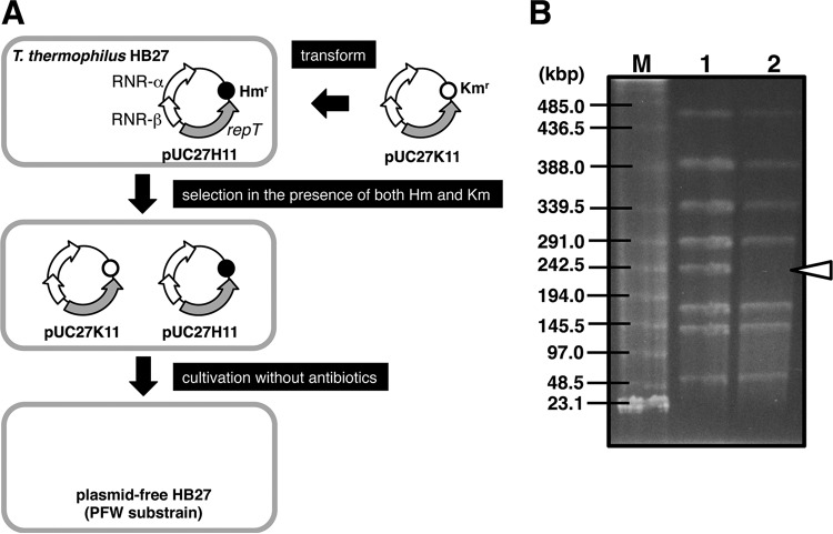 FIG 3