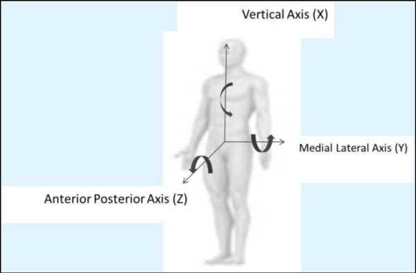 Figure 2: