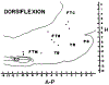 FIG. 6.