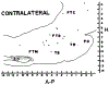 FIG. 8.