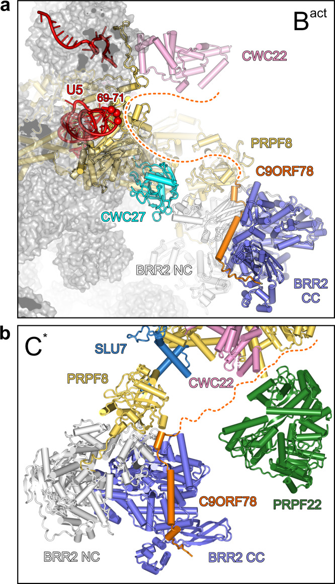 Fig. 8