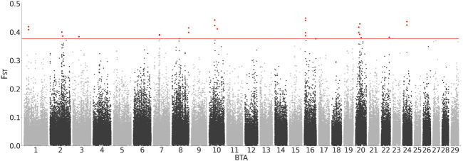 FIGURE 4