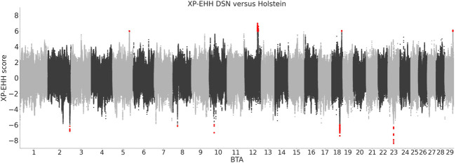 FIGURE 5