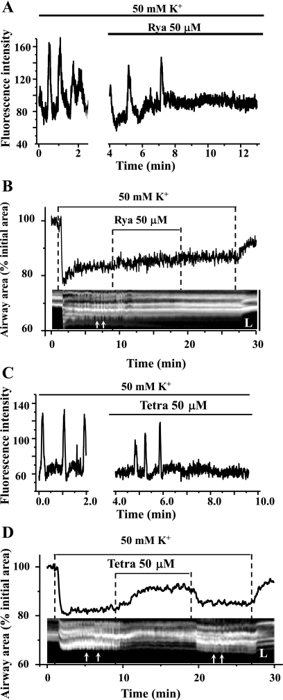 Fig. 12.