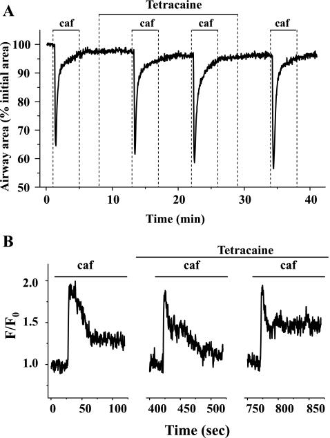 Fig. 9.