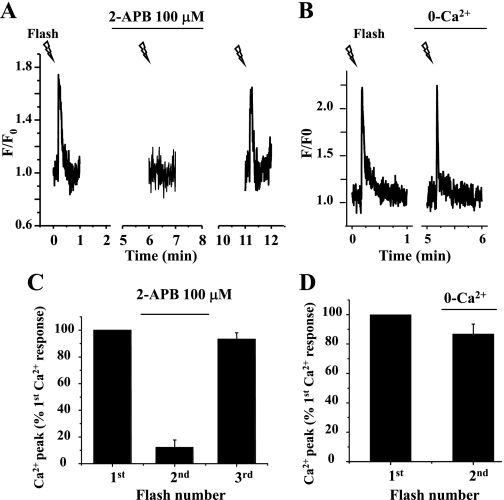 Fig. 7.