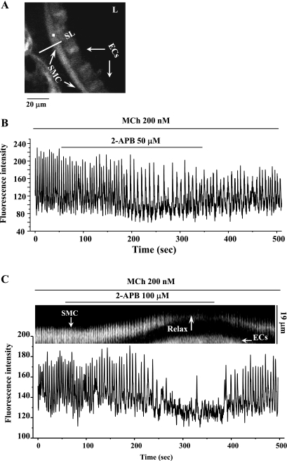 Fig. 3.