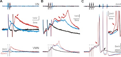 Fig. 3.