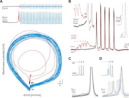 Fig. 6.