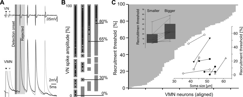 Fig. 11.