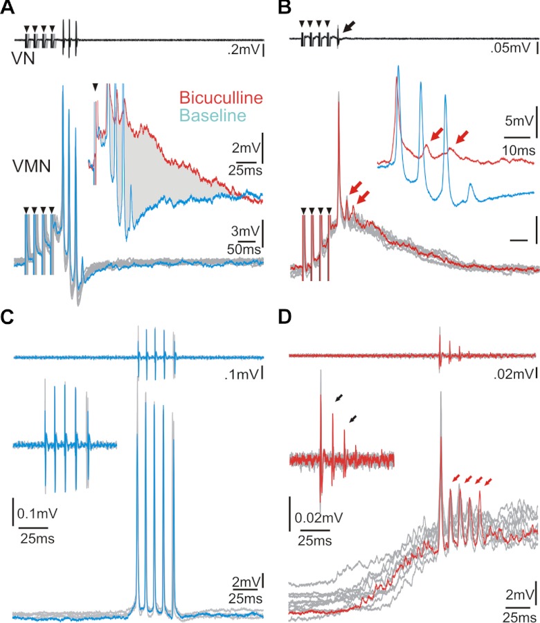 Fig. 10.