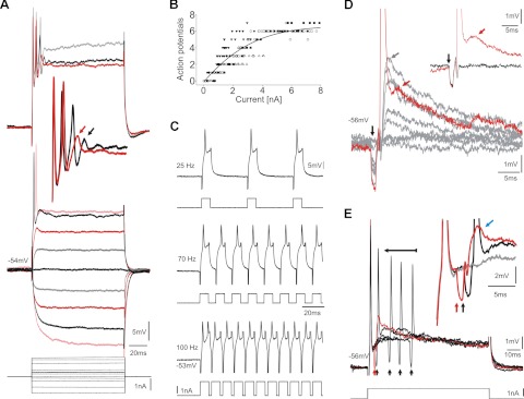 Fig. 7.