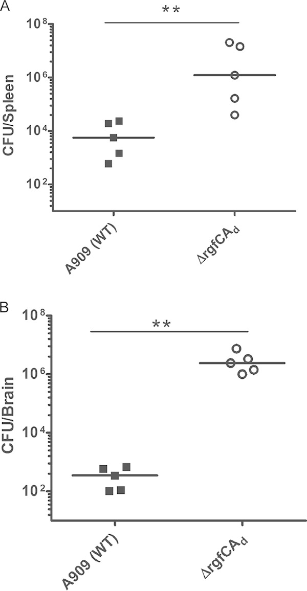 FIG 3