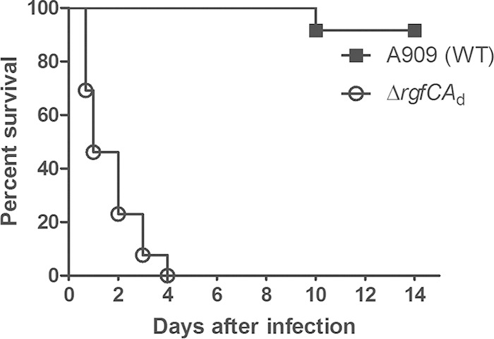 FIG 2