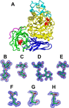 FIGURE 1.